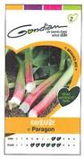 RHUBARBE